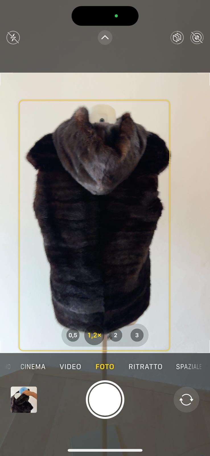 Gilet di visone